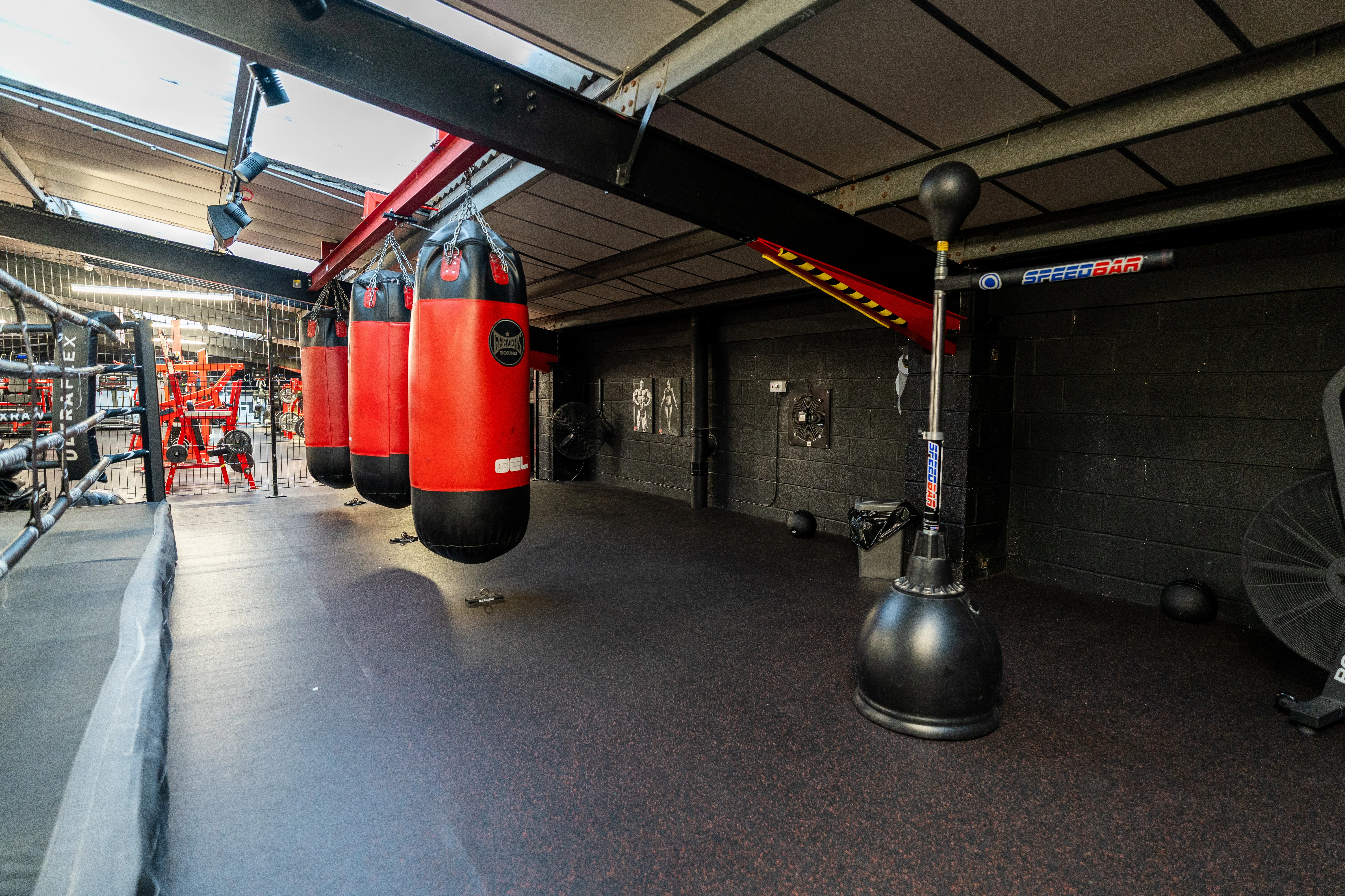 ULTRAFLEX DERBY facility 9